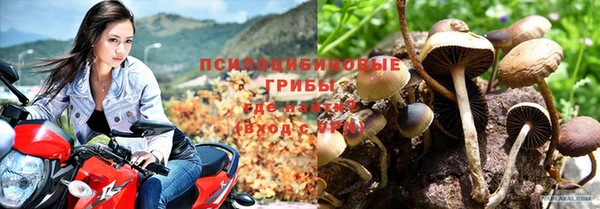 гидра Балахна
